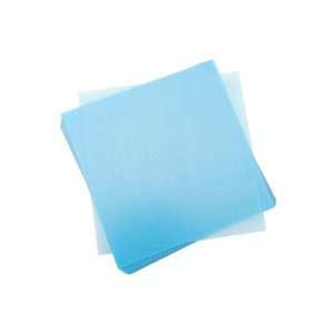   Inch x4 Inch .020 Plastic Sheets   25PK/Clear Arts, Crafts & Sewing