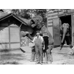  Bill Snyder, Elephant Trainer, and Hattie the Elephant, in 
