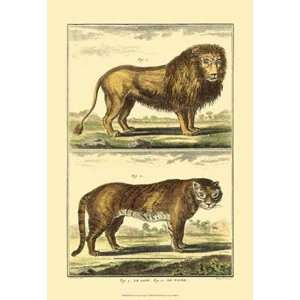  Diderots Lion and Tiger by Denis Diderot 13.00X19.00. Art 