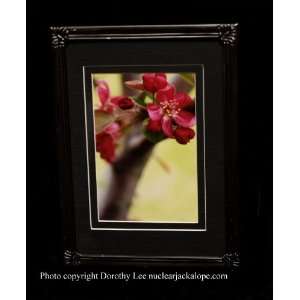 Flowering Tree framed fine art photograph by Dorothy Lee 