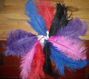 NEW LOT OF 10 OSTRICH FEATHERS COLORS CRAFT FUN  