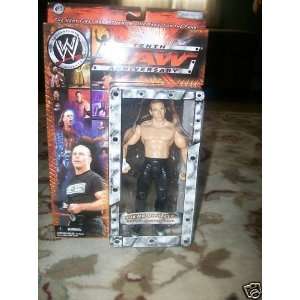    TENTH RAW ANNIVERSARY SHAWN MICHAELS ACTION FIGURE 