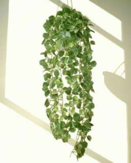 Ivy   37 (95cm)   Artificial Silk Plant, Fake Vine  