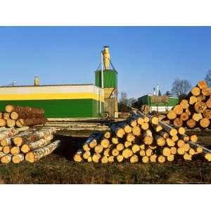  Estonian Forestry Operations, Tartumaa, Estonia Stretched 