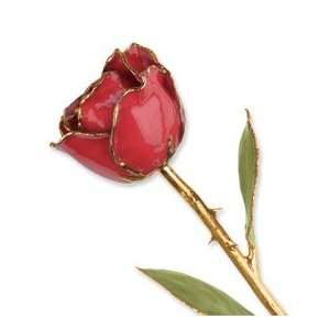   Dipped 24K Gold Trim Ruby Sun Genuine Rose in Gold Gift Box Jewelry