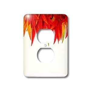 Yves Creations Colorful Leaves   Autumn Leaf Top Frame   Light Switch 