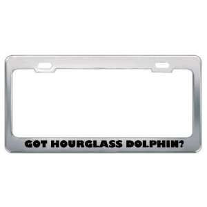 Got Hourglass Dolphin? Animals Pets Metal License Plate Frame Holder 