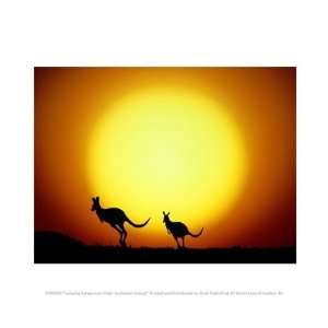 Jumping Kangaroos Under Australian Sunset Beautiful MUSEUM WRAP CANVAS 