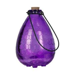   Wasp Trap Purple   (Insect Control and Repellents) 