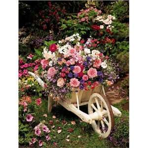  Wheelbarrow Of Flowers Jigsaw Puzzle 500pc Toys & Games