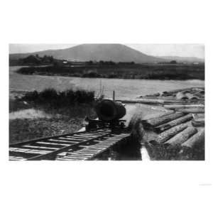  Raising a Log from the River View   Glenburn, CA Premium 