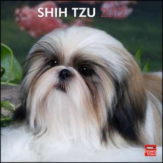 Shih Tzu 2012 Wall Calendar 9781421678771  