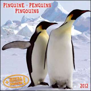 Penguins 2012 Wall Calendar  