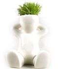 Mini Lie Bonsai Grass Doll Hair Man Potted Plant P10