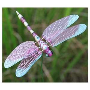  Plant Stakes Dragonfly 7Asst Case Pack 24