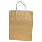 NEW COSCO Premium Large Brown Paper Shopping Bag, 50/Bo