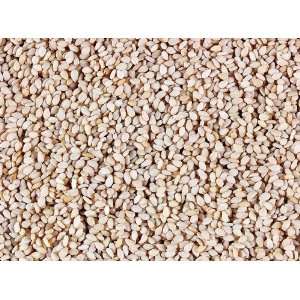 White Sesame Seeds in a 10 Pound Bag  Grocery & Gourmet 