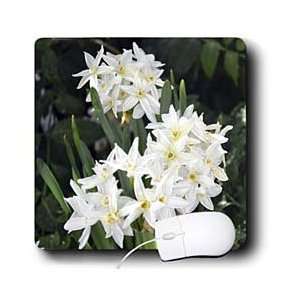   Floral Prints   Small white flowers   Mouse Pads Electronics