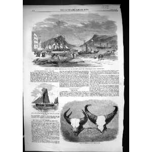  1859 St. Johns Newfoundland Kent Fishery Clipper Sailing 