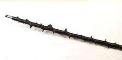 Antique Irish Blackthorn Shillelagh Walking Stick C 1890  