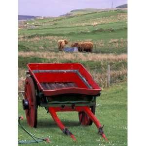 Farm Animals and Wheelbarrow, Kilmuir, Isle of Skye 